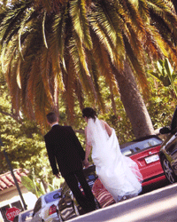 wedding hollywood wedding hollywood